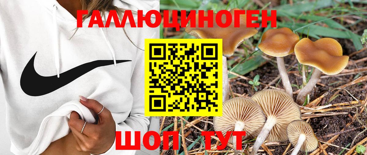 Псилоцибиновые грибы MAGIC MUSHROOMS  Псилоцибиновые грибы Magic Shrooms  Вход с VPN  Усть-Джегута 